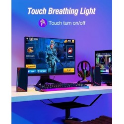 Computer speakers
